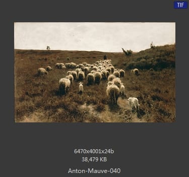 安东·莫夫 Anton Mauve