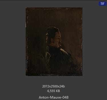 安东·莫夫 Anton Mauve