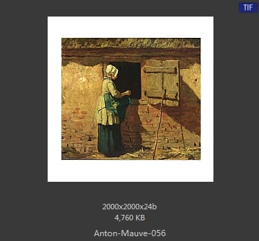 安东·莫夫 Anton Mauve