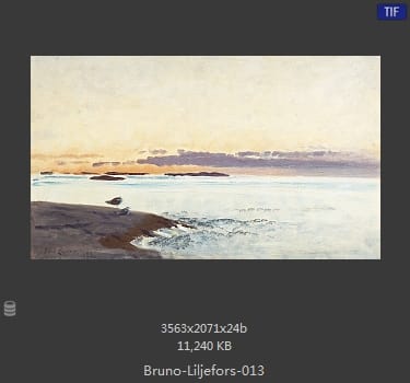 布鲁诺·利耶夫什（Bruno Andreas Liljefors）