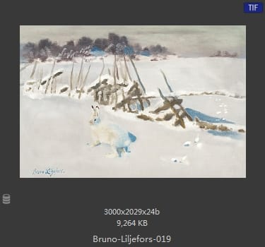 布鲁诺·利耶夫什（Bruno Andreas Liljefors）