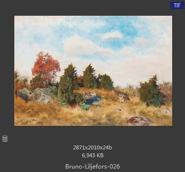 布鲁诺·利耶夫什（Bruno Andreas Liljefors）