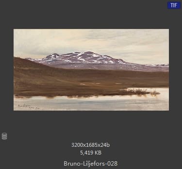布鲁诺·利耶夫什（Bruno Andreas Liljefors）