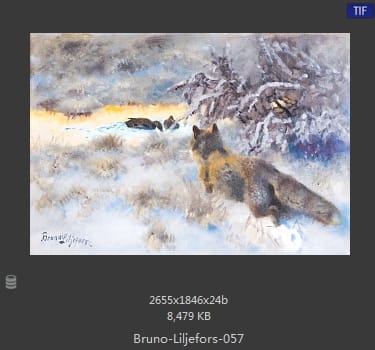 布鲁诺·利耶夫什（Bruno Andreas Liljefors）
