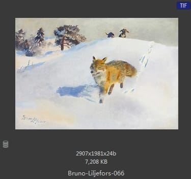布鲁诺·利耶夫什（Bruno Andreas Liljefors）