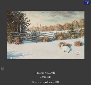 布鲁诺·利耶夫什（Bruno Andreas Liljefors）