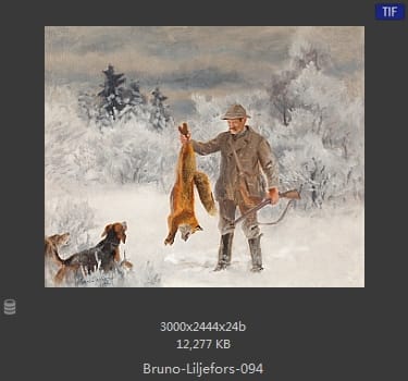 布鲁诺·利耶夫什（Bruno Andreas Liljefors）