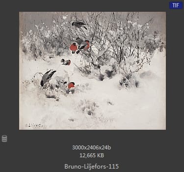 布鲁诺·利耶夫什（Bruno Andreas Liljefors）