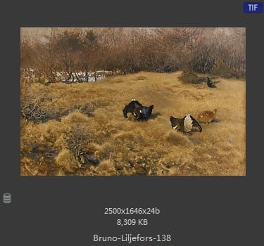 布鲁诺·利耶夫什（Bruno Andreas Liljefors）