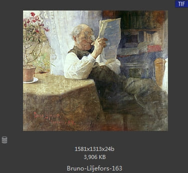 布鲁诺·利耶夫什（Bruno Andreas Liljefors）