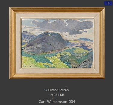 卡尔·威廉森（Carl Wilhelm Wilhelmson)