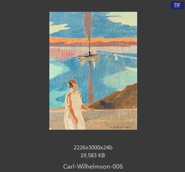 卡尔·威廉森（Carl Wilhelm Wilhelmson)
