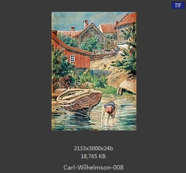 卡尔·威廉森（Carl Wilhelm Wilhelmson)