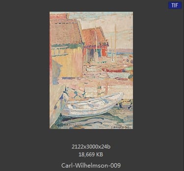 卡尔·威廉森（Carl Wilhelm Wilhelmson)