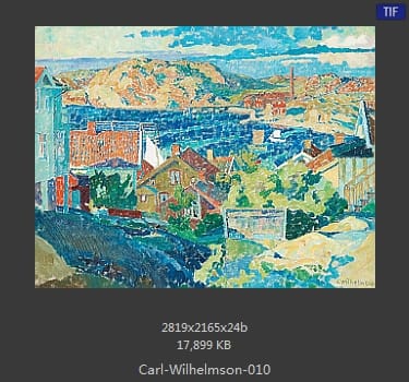 卡尔·威廉森（Carl Wilhelm Wilhelmson)