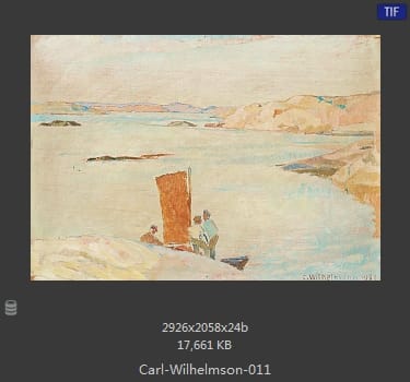 卡尔·威廉森（Carl Wilhelm Wilhelmson)