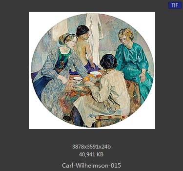 卡尔·威廉森（Carl Wilhelm Wilhelmson)
