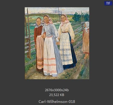 卡尔·威廉森（Carl Wilhelm Wilhelmson)