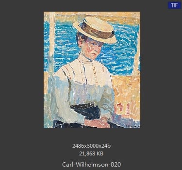卡尔·威廉森（Carl Wilhelm Wilhelmson)
