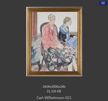 卡尔·威廉森（Carl Wilhelm Wilhelmson)