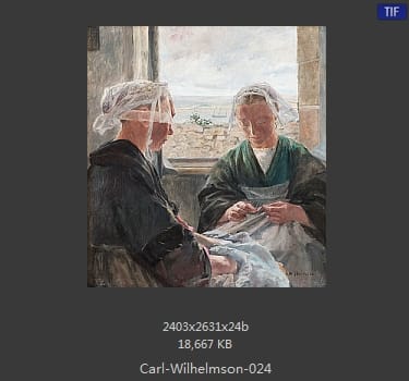 卡尔·威廉森（Carl Wilhelm Wilhelmson)