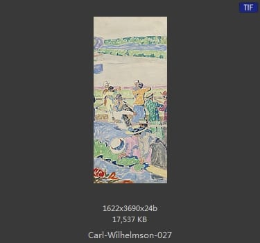 卡尔·威廉森（Carl Wilhelm Wilhelmson)