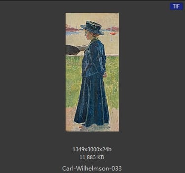卡尔·威廉森（Carl Wilhelm Wilhelmson)