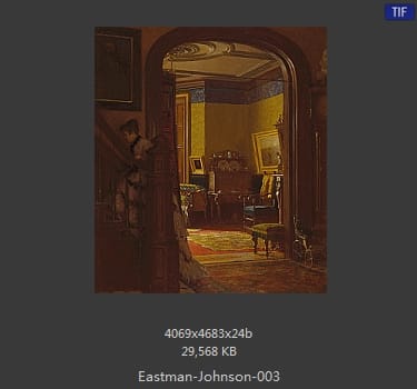 伊斯特曼·约翰逊(Eastman Johnson)