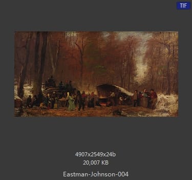 伊斯特曼·约翰逊(Eastman Johnson)