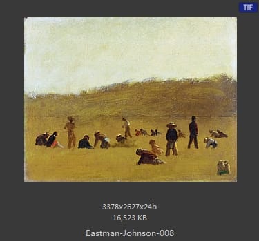 伊斯特曼·约翰逊(Eastman Johnson)