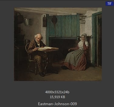 伊斯特曼·约翰逊(Eastman Johnson)