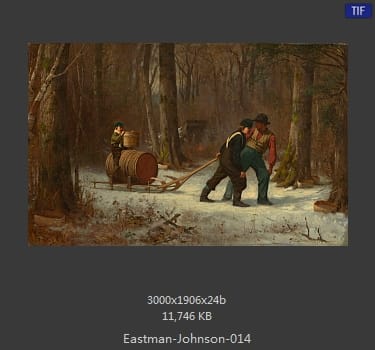 伊斯特曼·约翰逊(Eastman Johnson)