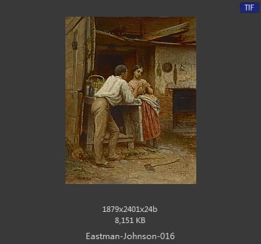伊斯特曼·约翰逊(Eastman Johnson)