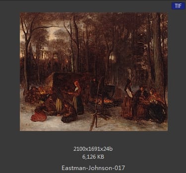 伊斯特曼·约翰逊(Eastman Johnson)