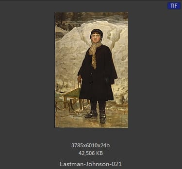 伊斯特曼·约翰逊(Eastman Johnson)