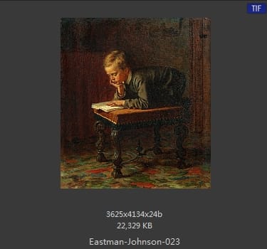 伊斯特曼·约翰逊(Eastman Johnson)