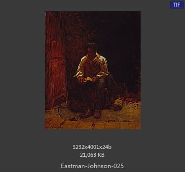 伊斯特曼·约翰逊(Eastman Johnson)