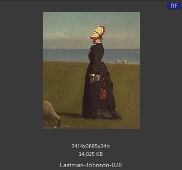 伊斯特曼·约翰逊(Eastman Johnson)