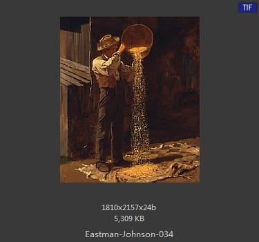 伊斯特曼·约翰逊(Eastman Johnson)