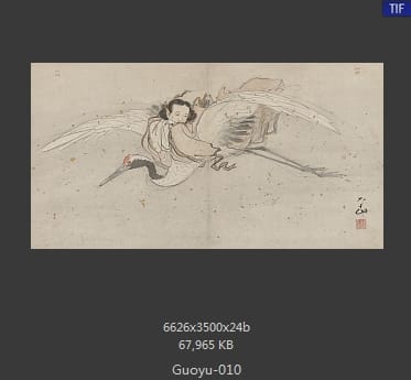 郭羽