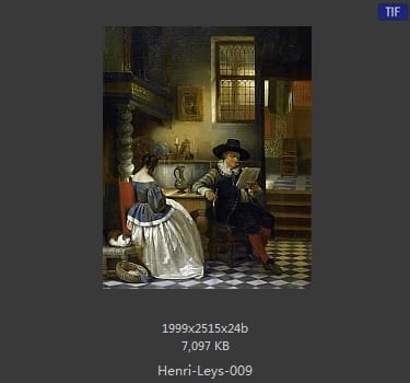 亨德里克 · 利斯Jan August Hendrik Leys