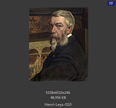 亨德里克 · 利斯Jan August Hendrik Leys