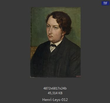 亨德里克 · 利斯Jan August Hendrik Leys