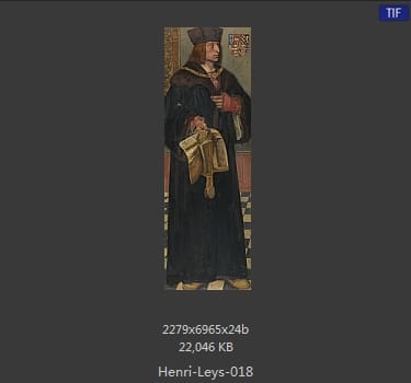 亨德里克 · 利斯Jan August Hendrik Leys