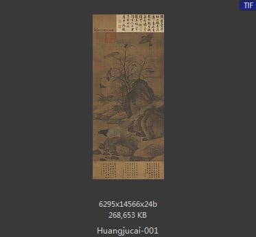 黄居寀 山鹧棘雀图