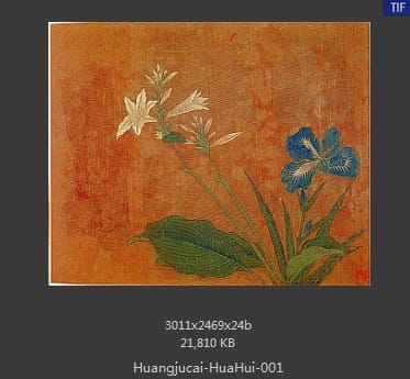 黄居寀 花卉