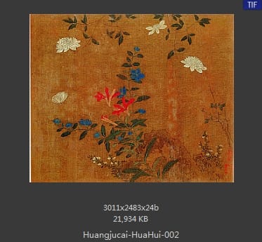 黄居寀 花卉