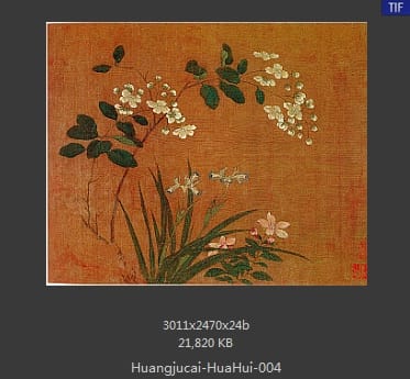 黄居寀 花卉