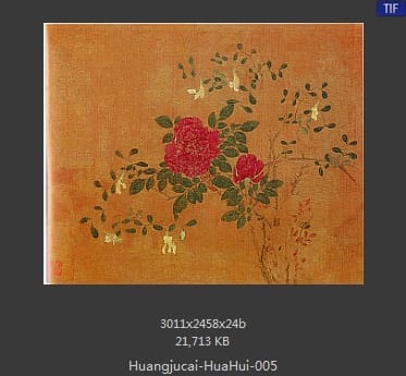 黄居寀 花卉