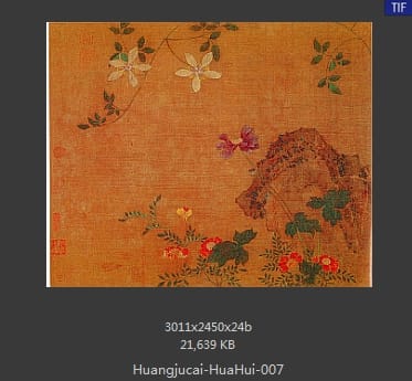 黄居寀 花卉